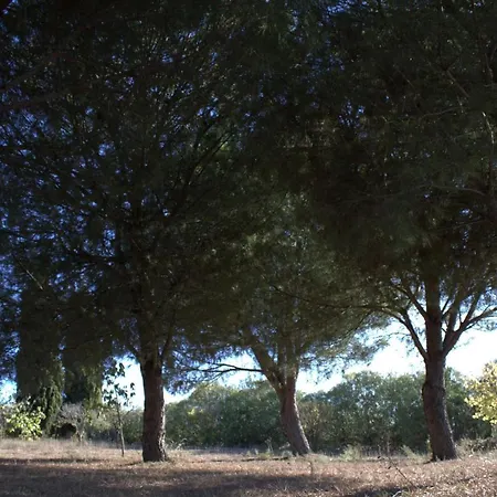Rural Santa Εξοχικό σπίτι Moguer